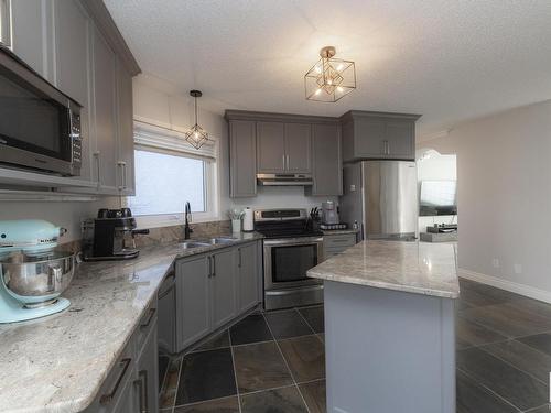 42 1295 Carter Crest Road, Edmonton, AB - Indoor Photo Showing Kitchen With Double Sink