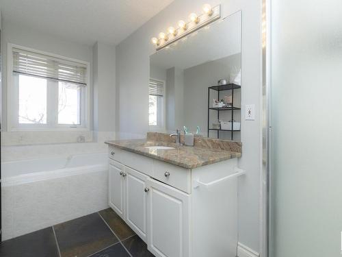 42 1295 Carter Crest Road, Edmonton, AB - Indoor Photo Showing Bathroom