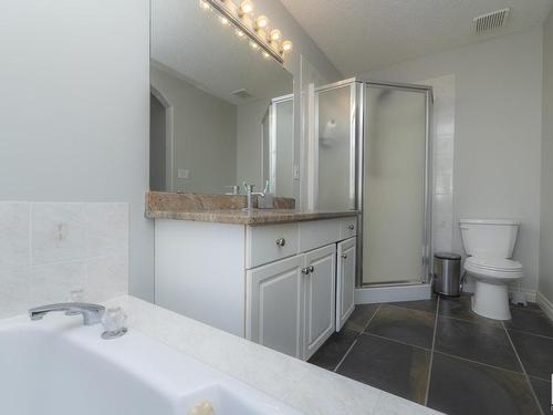 42 1295 Carter Crest Road, Edmonton, AB - Indoor Photo Showing Bathroom