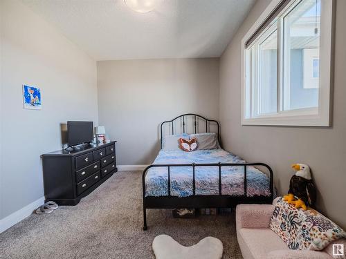 12819 202 Street, Edmonton, AB - Indoor Photo Showing Bedroom