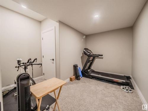 12819 202 Street, Edmonton, AB - Indoor Photo Showing Gym Room