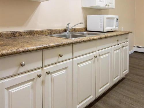 204 10529 93 Street, Edmonton, AB - Indoor Photo Showing Kitchen With Double Sink