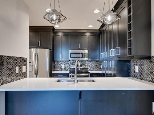 113 11080 Ellerslie Road, Edmonton, AB - Indoor Photo Showing Kitchen With Double Sink With Upgraded Kitchen