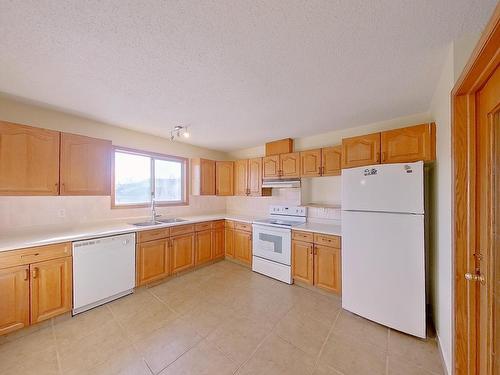 5207 13 Avenue, Edmonton, AB - Indoor Photo Showing Kitchen With Double Sink