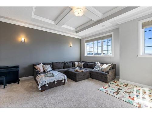 535 Albany Way, Edmonton, AB - Indoor Photo Showing Living Room