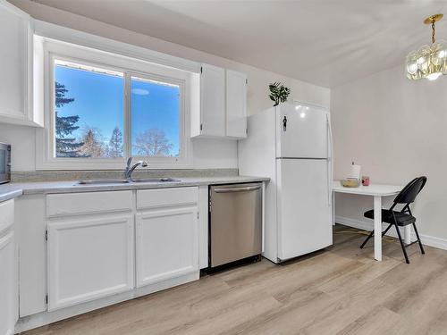 1416 65 Street, Edmonton, AB - Indoor Photo Showing Kitchen With Double Sink