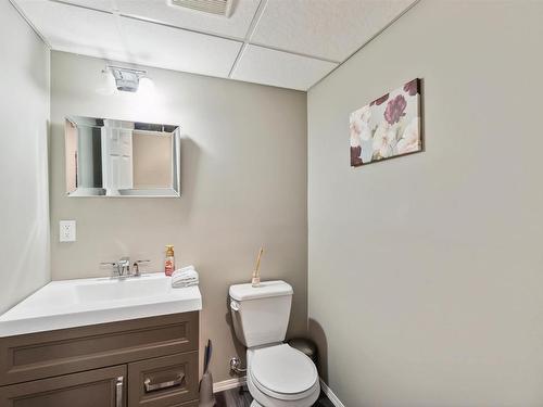 4750 Crabapple Run, Edmonton, AB - Indoor Photo Showing Bathroom