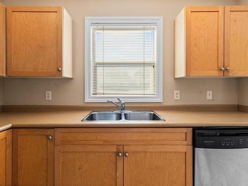 117 12050 17 Avenue, Edmonton, AB - Indoor Photo Showing Kitchen With Double Sink