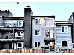 101 12408 161 Avenue  Edmonton, AB T5X 4W6