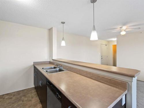 419 1180 Hyndman Road, Edmonton, AB - Indoor Photo Showing Kitchen With Double Sink