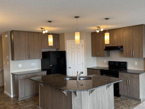 3848 Powell Wynd, Edmonton, AB - Indoor Photo Showing Kitchen With Double Sink