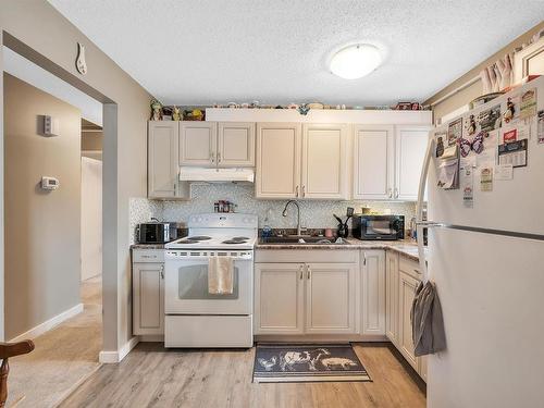 17020 103 Street, Edmonton, AB - Indoor Photo Showing Kitchen With Double Sink