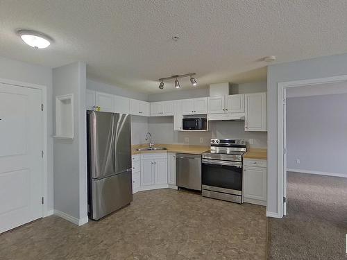 105 245 Edwards Drive, Edmonton, AB - Indoor Photo Showing Kitchen With Double Sink