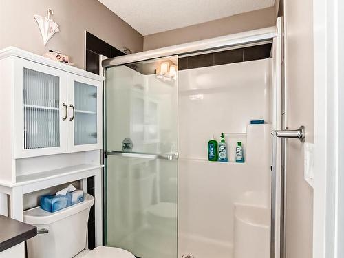 5207 Chappelle Road, Edmonton, AB - Indoor Photo Showing Bathroom