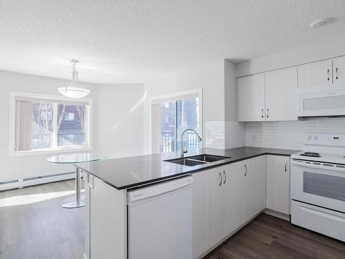 117 11511 27 Avenue, Edmonton, AB - Indoor Photo Showing Kitchen With Double Sink