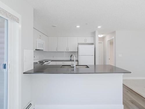 117 11511 27 Avenue, Edmonton, AB - Indoor Photo Showing Kitchen With Double Sink