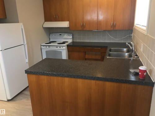 10202 76 Street, Edmonton, AB - Indoor Photo Showing Kitchen With Double Sink