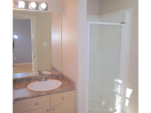 17739 90 Street, Edmonton, AB - Indoor Photo Showing Bathroom