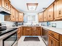 224 Warwick Road, Edmonton, AB  - Indoor Photo Showing Kitchen With Double Sink 