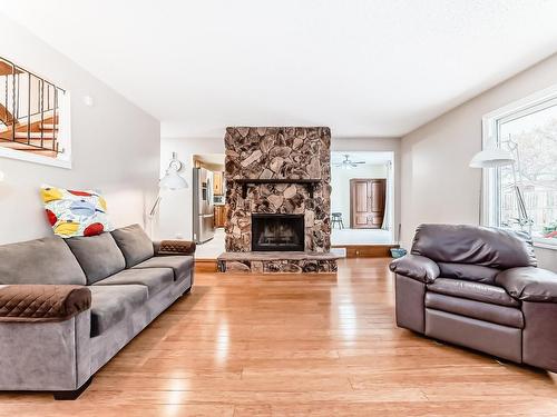 224 Warwick Road, Edmonton, AB - Indoor Photo Showing Living Room With Fireplace