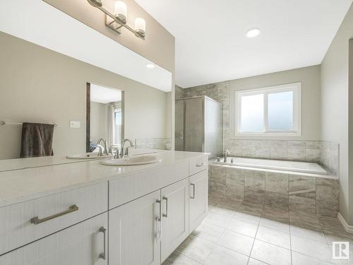 20019 29 Avenue, Edmonton, AB - Indoor Photo Showing Bathroom