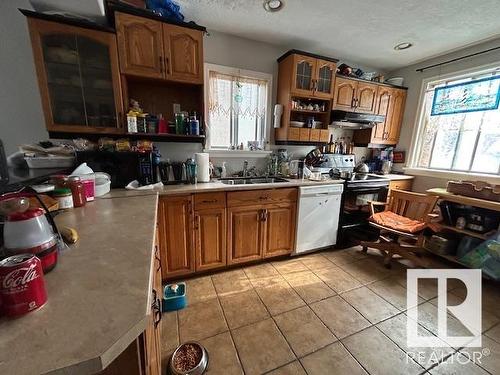 9811 78 Avenue, Edmonton, AB - Indoor Photo Showing Kitchen With Double Sink