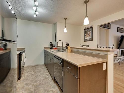 110 1188 Hyndman Road, Edmonton, AB - Indoor Photo Showing Kitchen With Double Sink