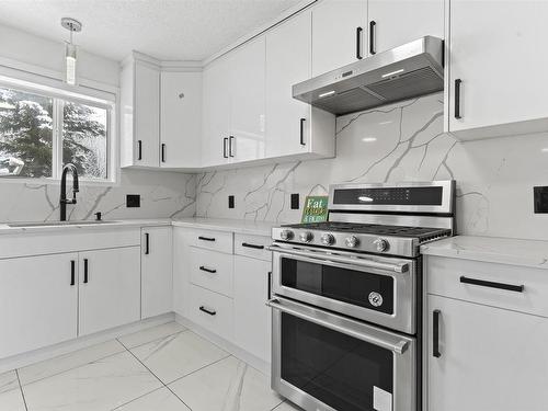 3105 41A Ave, Edmonton, AB - Indoor Photo Showing Kitchen With Upgraded Kitchen