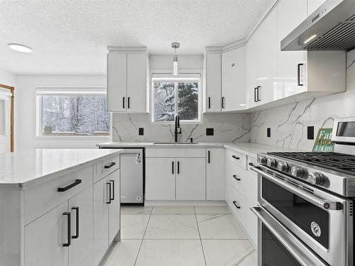 3105 41A Ave, Edmonton, AB - Indoor Photo Showing Kitchen With Upgraded Kitchen