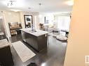 434 504 Albany Way, Edmonton, AB  - Indoor Photo Showing Kitchen With Double Sink 