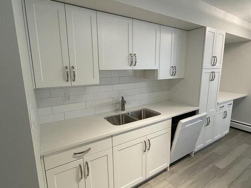 9341 95 Street, Edmonton, AB - Indoor Photo Showing Kitchen With Double Sink