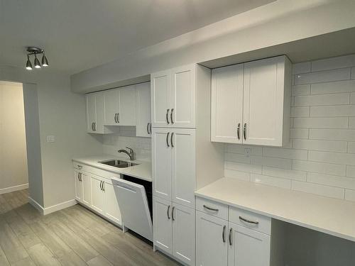 9341 95 Street, Edmonton, AB - Indoor Photo Showing Kitchen With Double Sink