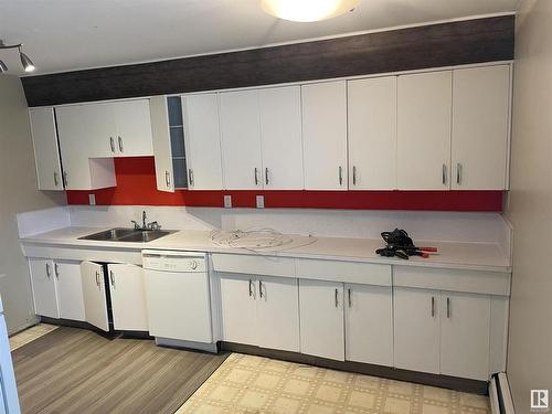 9341 95 Street, Edmonton, AB - Indoor Photo Showing Kitchen With Double Sink