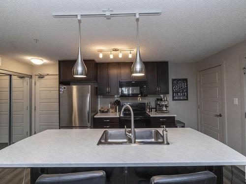 305 5510 Schonsee Drive, Edmonton, AB - Indoor Photo Showing Kitchen With Double Sink With Upgraded Kitchen