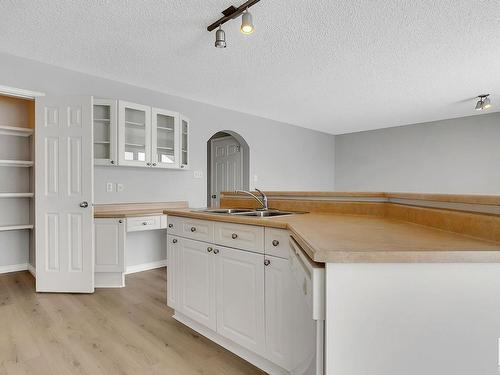 3771 23 Street, Edmonton, AB - Indoor Photo Showing Kitchen With Double Sink