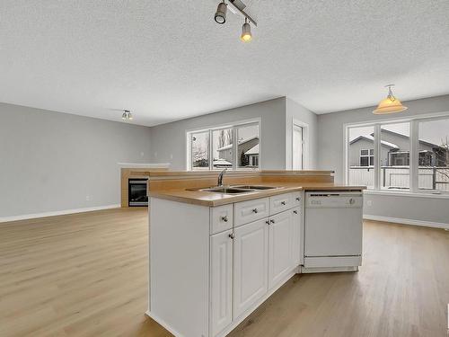 3771 23 Street, Edmonton, AB - Indoor Photo Showing Kitchen With Double Sink