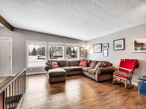 6824 94B Avenue, Edmonton, AB - Indoor Photo Showing Living Room