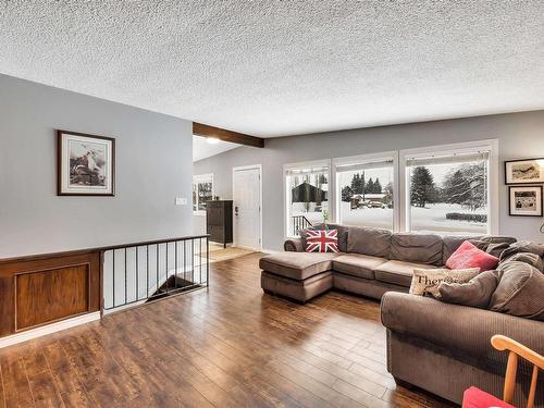 6824 94B Avenue, Edmonton, AB - Indoor Photo Showing Living Room