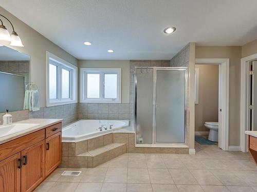 946 Hollingsworth Bend, Edmonton, AB - Indoor Photo Showing Bathroom