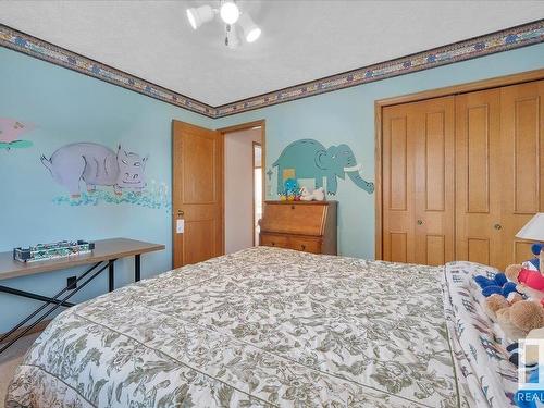 19 Rhatigan Road E, Edmonton, AB - Indoor Photo Showing Bedroom