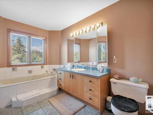 19 Rhatigan Road E, Edmonton, AB - Indoor Photo Showing Bathroom