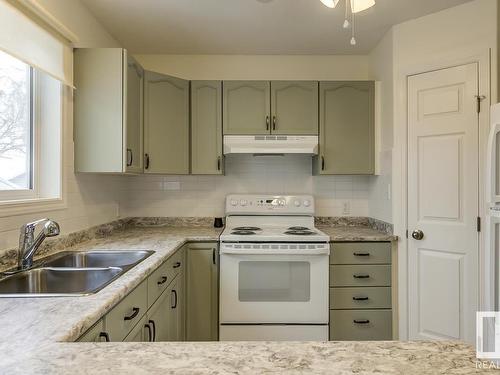 12042 65 Street, Edmonton, AB - Indoor Photo Showing Kitchen With Double Sink