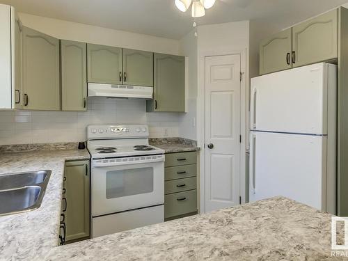 12042 65 Street, Edmonton, AB - Indoor Photo Showing Kitchen With Double Sink