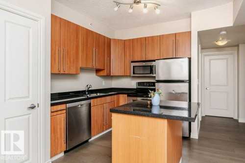 103 9819 104 Street, Edmonton, AB - Indoor Photo Showing Kitchen With Stainless Steel Kitchen With Double Sink