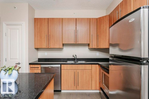 103 9819 104 Street, Edmonton, AB - Indoor Photo Showing Kitchen With Stainless Steel Kitchen With Double Sink