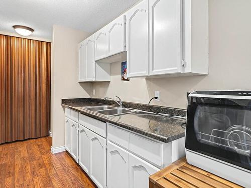 203 11308 108 Avenue, Edmonton, AB - Indoor Photo Showing Kitchen With Double Sink