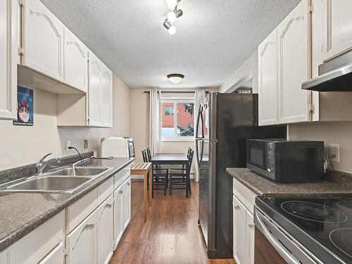 203 11308 108 Avenue, Edmonton, AB - Indoor Photo Showing Kitchen With Double Sink