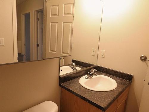 2311 Lemieux Place, Edmonton, AB - Indoor Photo Showing Bathroom