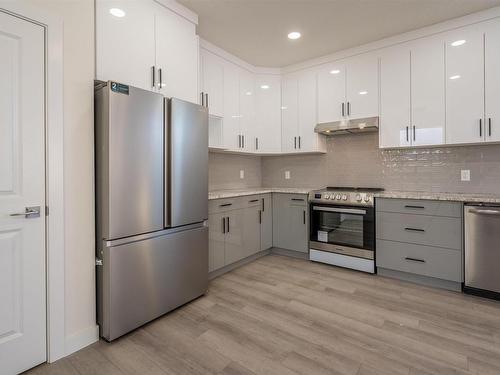 10446 142 Street, Edmonton, AB - Indoor Photo Showing Kitchen With Upgraded Kitchen