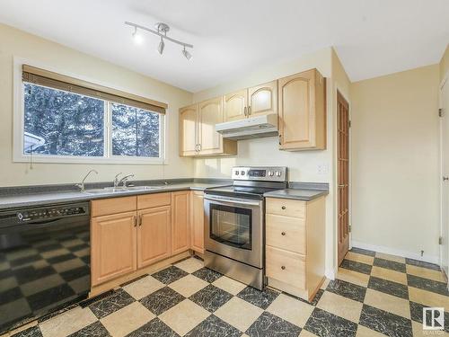 141 Homestead Crescent, Edmonton, AB - Indoor Photo Showing Kitchen With Double Sink